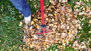 0918FallCleanUp